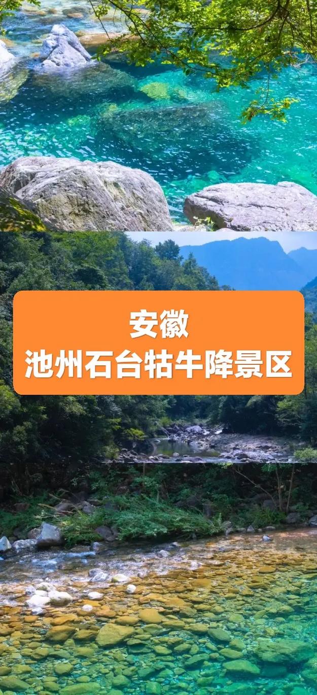 池州天气预报查询,池州天气预报查询30天准确-第2张图片-巾百福 池州天气预报查询,池州天气预报查询30天准确-第2张图片-巾百福