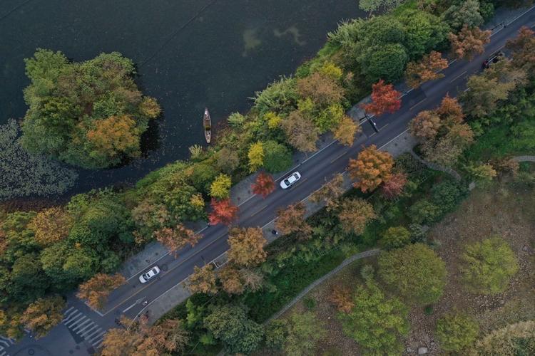 外地人进西湖限号不?外地车进西湖?-第1张图片-巾百福 外地人进西湖限号不?外地车进西湖?-第1张图片-巾百福