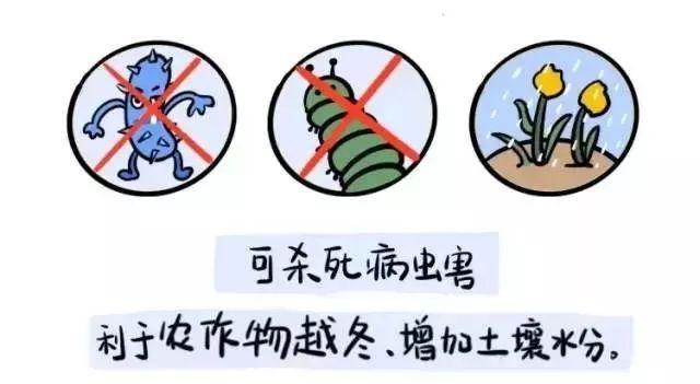 寒潮天气影响中国?寒潮影响全国吗?-第3张图片-巾百福 寒潮天气影响中国?寒潮影响全国吗?-第3张图片-巾百福