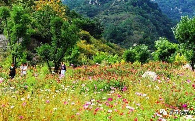 灵寿天气预报15天,灵寿天气预报15天查询当地-第7张图片-巾百福 灵寿天气预报15天,灵寿天气预报15天查询当地-第7张图片-巾百福