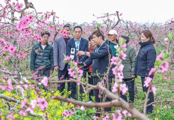 万荣天气预报一周,万荣天气预报一周 7天-第1张图片-巾百福 万荣天气预报一周,万荣天气预报一周 7天-第1张图片-巾百福