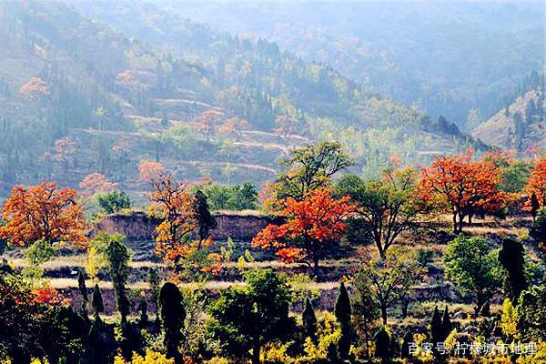 万荣天气预报一周,万荣天气预报一周 7天-第6张图片-巾百福 万荣天气预报一周,万荣天气预报一周 7天-第6张图片-巾百福