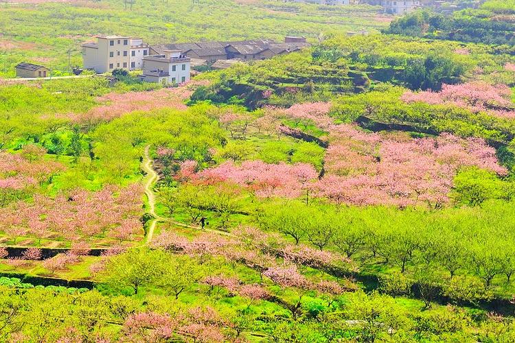 乐昌天气预报7天?乐昌天气预报7天查询百度?-第5张图片-巾百福 乐昌天气预报7天?乐昌天气预报7天查询百度?-第5张图片-巾百福