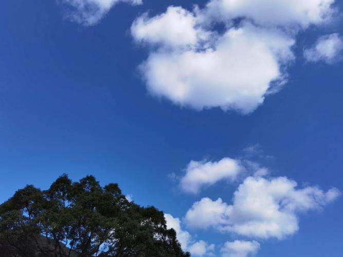 普陀山天气预报一周,普陀山天气预报一周七天查询-第2张图片-巾百福 普陀山天气预报一周,普陀山天气预报一周七天查询-第2张图片-巾百福