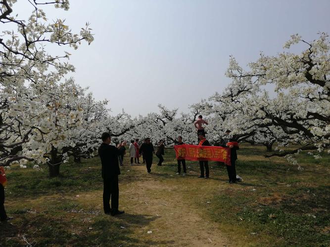 魏县16号限什么号?魏县最新限号?-第1张图片-巾百福 魏县16号限什么号?魏县最新限号?-第1张图片-巾百福