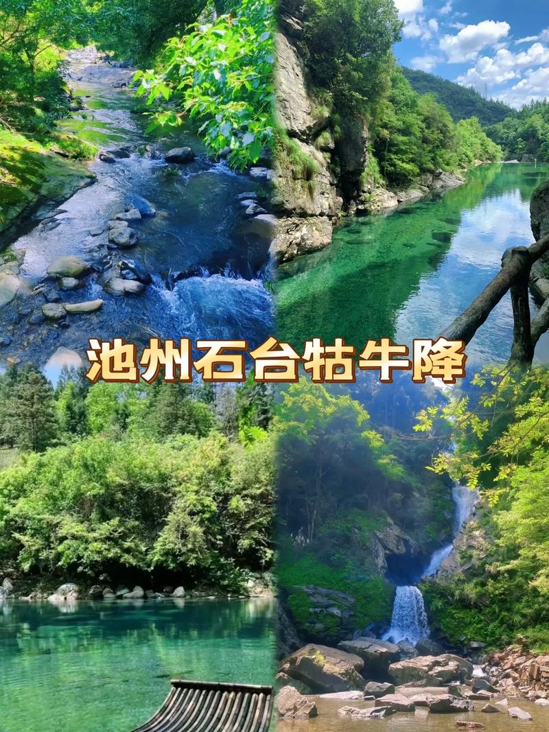 池州市天气预报一周,池州市天气预报??-第5张图片-巾百福 池州市天气预报一周,池州市天气预报??-第5张图片-巾百福