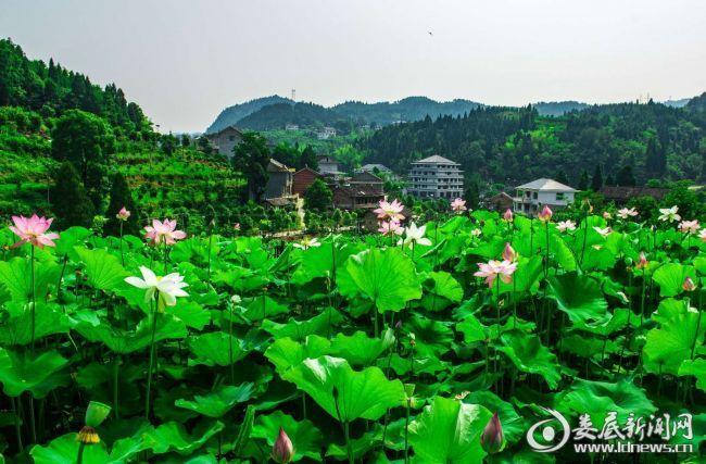 湖南娄底市天气预报?湖南娄底市天气预报30天查询?-第6张图片-巾百福 湖南娄底市天气预报?湖南娄底市天气预报30天查询?-第6张图片-巾百福