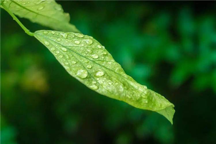 西丰天气预报一周?西丰天气预报一周七天?-第6张图片-巾百福 西丰天气预报一周?西丰天气预报一周七天?-第6张图片-巾百福