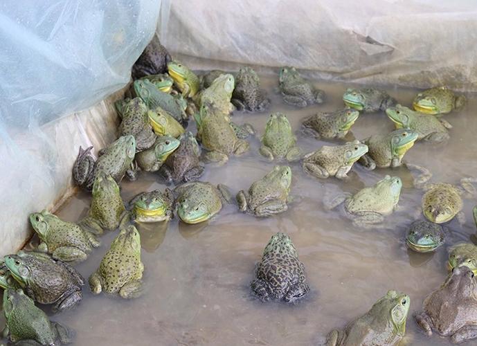 江西上饶天气怎么样?上饶明天的天气怎么样?-第4张图片-巾百福 江西上饶天气怎么样?上饶明天的天气怎么样?-第4张图片-巾百福