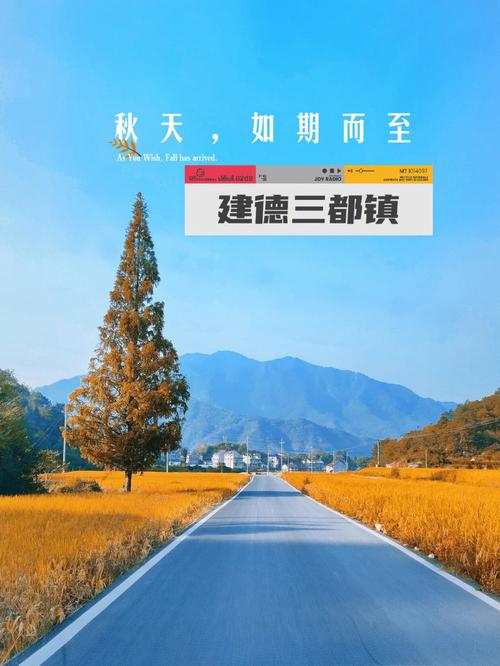 浙江建德天气预报,浙江建德天气预报15天气?-第5张图片-巾百福 浙江建德天气预报,浙江建德天气预报15天气?-第5张图片-巾百福