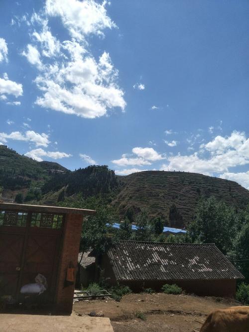 师宗天气预报7天,师宗天气预报7天一周查询?-第4张图片-巾百福 师宗天气预报7天,师宗天气预报7天一周查询?-第4张图片-巾百福
