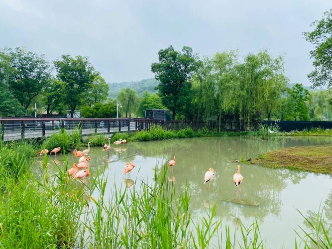周庄天气预报一周?周庄天气预报一周七天查询?-第6张图片-巾百福 周庄天气预报一周?周庄天气预报一周七天查询?-第6张图片-巾百福