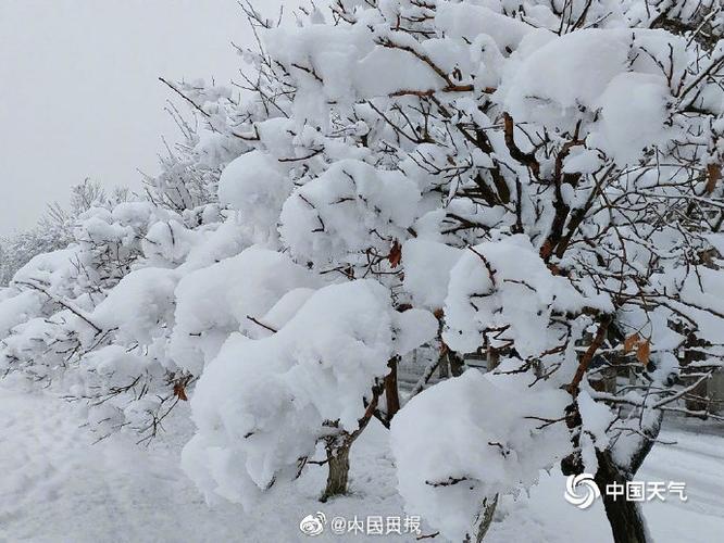 烟台莱阳天气预报?烟台莱阳天气预报最新消息?-第6张图片-巾百福 烟台莱阳天气预报?烟台莱阳天气预报最新消息?-第6张图片-巾百福