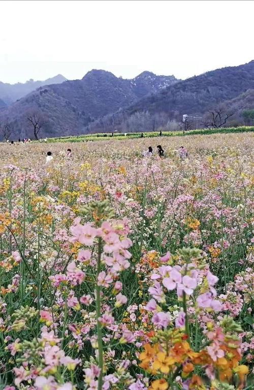 汉中南郑区天气预报,陕西汉中南郑区天气预报?-第2张图片-巾百福 汉中南郑区天气预报,陕西汉中南郑区天气预报?-第2张图片-巾百福