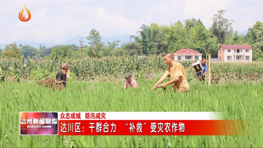 达州天气预报20天?达州天气预报一周天气?-第3张图片-巾百福 达州天气预报20天?达州天气预报一周天气?-第3张图片-巾百福