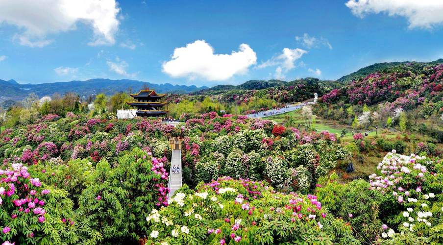 渭南天气预报一周,渭南天气预报一周天气预报-第2张图片-巾百福 渭南天气预报一周,渭南天气预报一周天气预报-第2张图片-巾百福