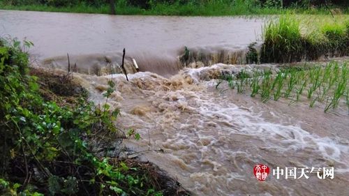 黎川天气预报40天?黎川天气预报40天查询百度?-第3张图片-巾百福 黎川天气预报40天?黎川天气预报40天查询百度?-第3张图片-巾百福
