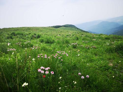 沁源天气预报天气,沁源天气预报天气预报?-第2张图片-巾百福 沁源天气预报天气,沁源天气预报天气预报?-第2张图片-巾百福