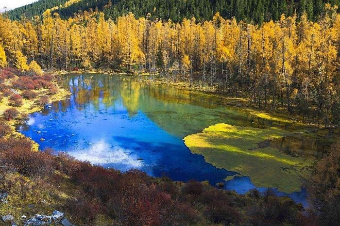 岱山天气台风消息,岱山台风最新消息今日-第3张图片-巾百福 岱山天气台风消息,岱山台风最新消息今日-第3张图片-巾百福