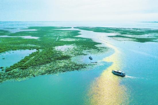 洪湖天气预报一周,洪湖天气预报一周 7天准确?-第5张图片-巾百福 洪湖天气预报一周,洪湖天气预报一周 7天准确?-第5张图片-巾百福