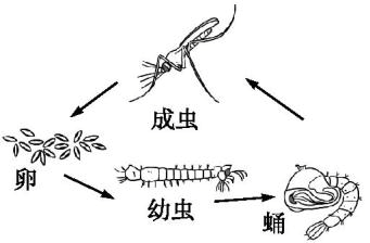 广宁天气预报7天,广宁天气预报7天准确-第7张图片-巾百福 广宁天气预报7天,广宁天气预报7天准确-第7张图片-巾百福