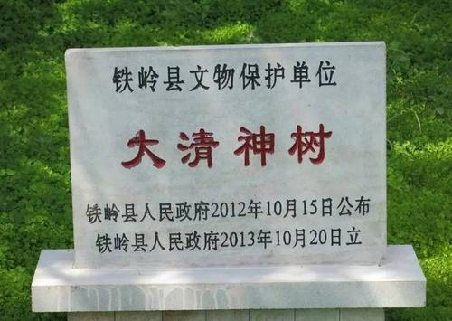 铁岭市天气预报一周,天气铁岭市天气预报-第4张图片-巾百福 铁岭市天气预报一周,天气铁岭市天气预报-第4张图片-巾百福