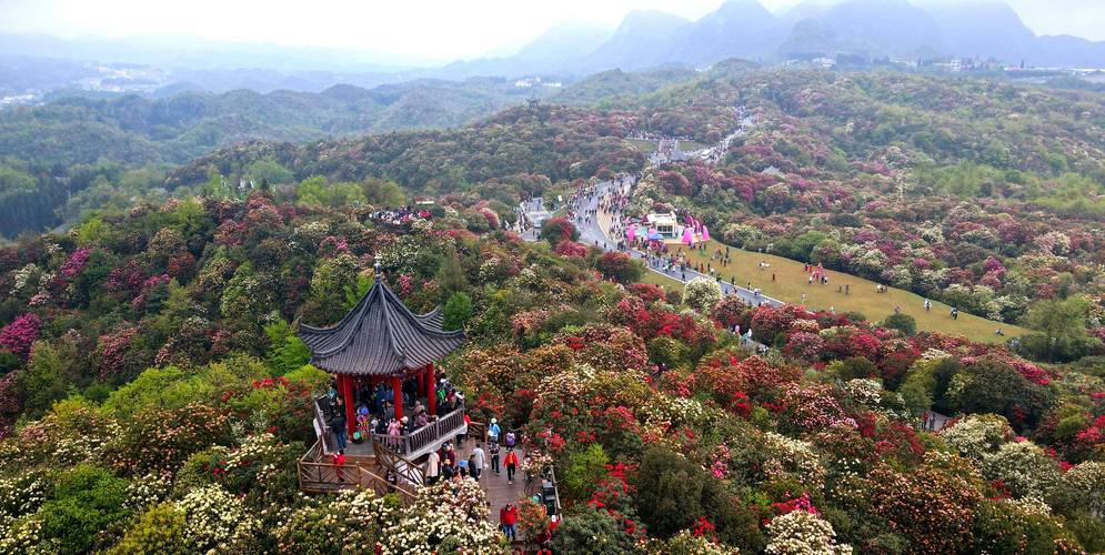 毕节一周天气预报,毕节一周天气预报7天?-第3张图片-巾百福 毕节一周天气预报,毕节一周天气预报7天?-第3张图片-巾百福