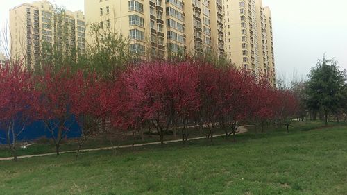 十月七号沧州限几号,十月七号沧州限几号限行?-第4张图片-巾百福 十月七号沧州限几号,十月七号沧州限几号限行?-第4张图片-巾百福