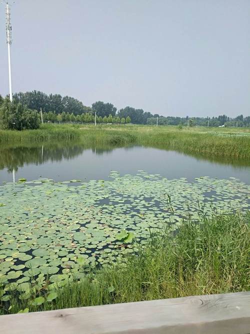 信阳市天气预报七天,信阳天气7天天气预报?-第6张图片-巾百福 信阳市天气预报七天,信阳天气7天天气预报?-第6张图片-巾百福