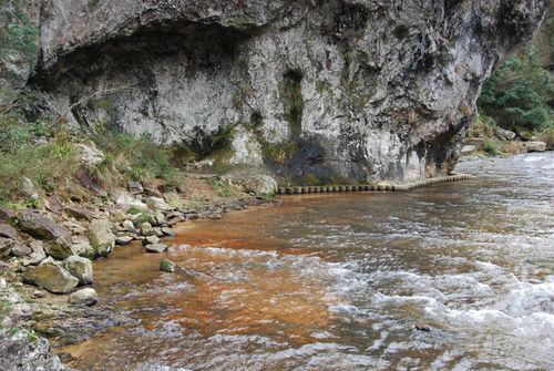 福建白水洋天气预报,福建白水洋天气预报15天查询-第1张图片-巾百福 福建白水洋天气预报,福建白水洋天气预报15天查询-第1张图片-巾百福