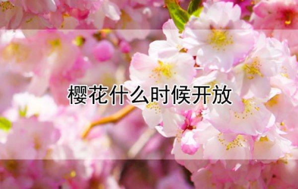 灵宝天气预报一个月,灵宝市一个月天气预报?-第4张图片-巾百福 灵宝天气预报一个月,灵宝市一个月天气预报?-第4张图片-巾百福