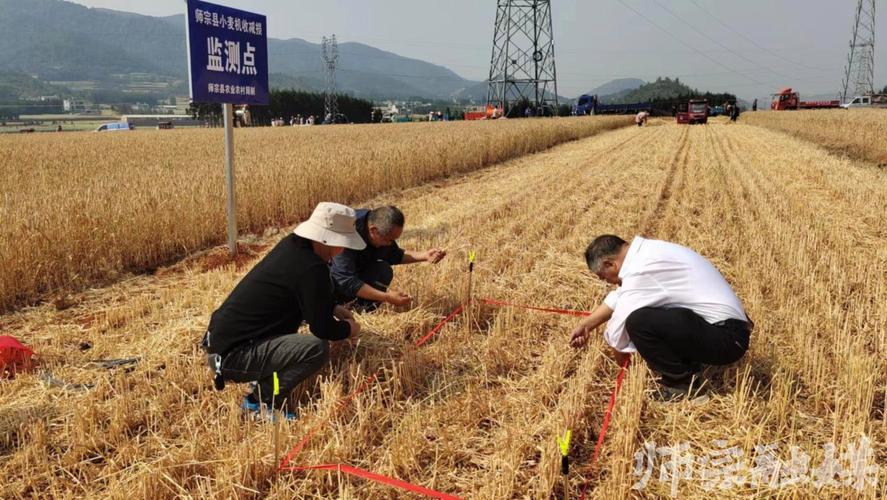 宝丰县天气预报一周,宝丰天气预报15天查询结果-第3张图片-巾百福 宝丰县天气预报一周,宝丰天气预报15天查询结果-第3张图片-巾百福