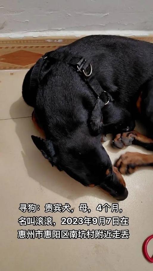 惠阳天气预报30天,惠阳天气预报30天准确 一个月查询?-第1张图片-巾百福 惠阳天气预报30天,惠阳天气预报30天准确 一个月查询?-第1张图片-巾百福