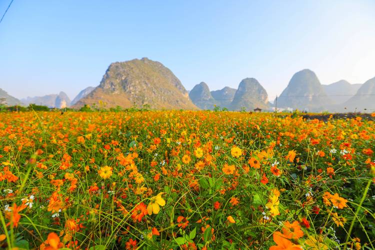 广西百色天气预报?广西百色天气预报今天?-第2张图片-巾百福 广西百色天气预报?广西百色天气预报今天?-第2张图片-巾百福