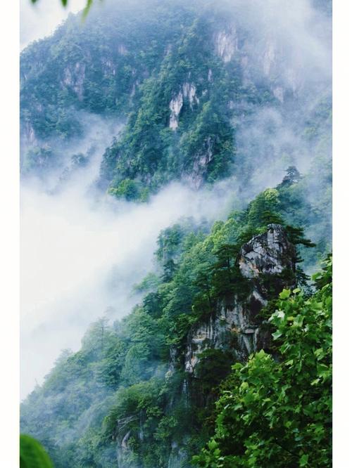 临安天气预报30天,临安天气预报30天查?-第7张图片-巾百福 临安天气预报30天,临安天气预报30天查?-第7张图片-巾百福