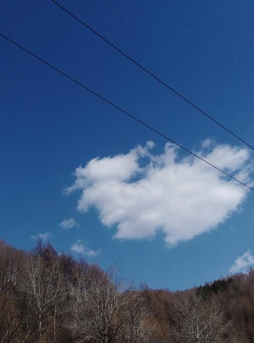 通化一周天气预报?通化一周天气预报百度下载?-第4张图片-巾百福 通化一周天气预报?通化一周天气预报百度下载?-第4张图片-巾百福
