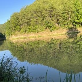 南川区天气预报一周,南川天气预报一周天气预报-第3张图片-巾百福 南川区天气预报一周,南川天气预报一周天气预报-第3张图片-巾百福