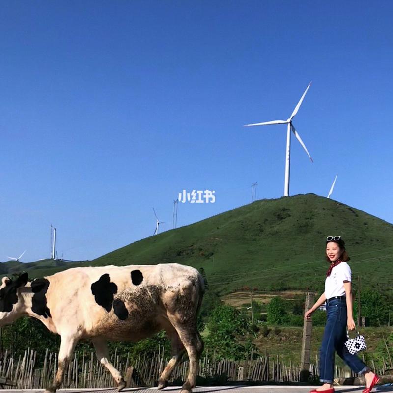 城步天气预报30天?城步天气预报15天气预报一周?-第2张图片-巾百福 城步天气预报30天?城步天气预报15天气预报一周?-第2张图片-巾百福