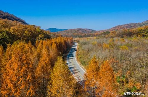 京山天气预报一周?京山天气预报7天?-第4张图片-巾百福 京山天气预报一周?京山天气预报7天?-第4张图片-巾百福