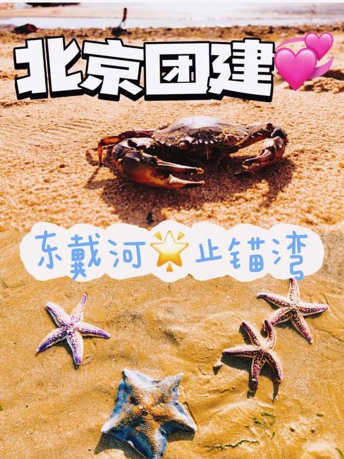 葫芦岛绥中天气预报,葫芦岛绥中天气预报30天-第1张图片-巾百福 葫芦岛绥中天气预报,葫芦岛绥中天气预报30天-第1张图片-巾百福