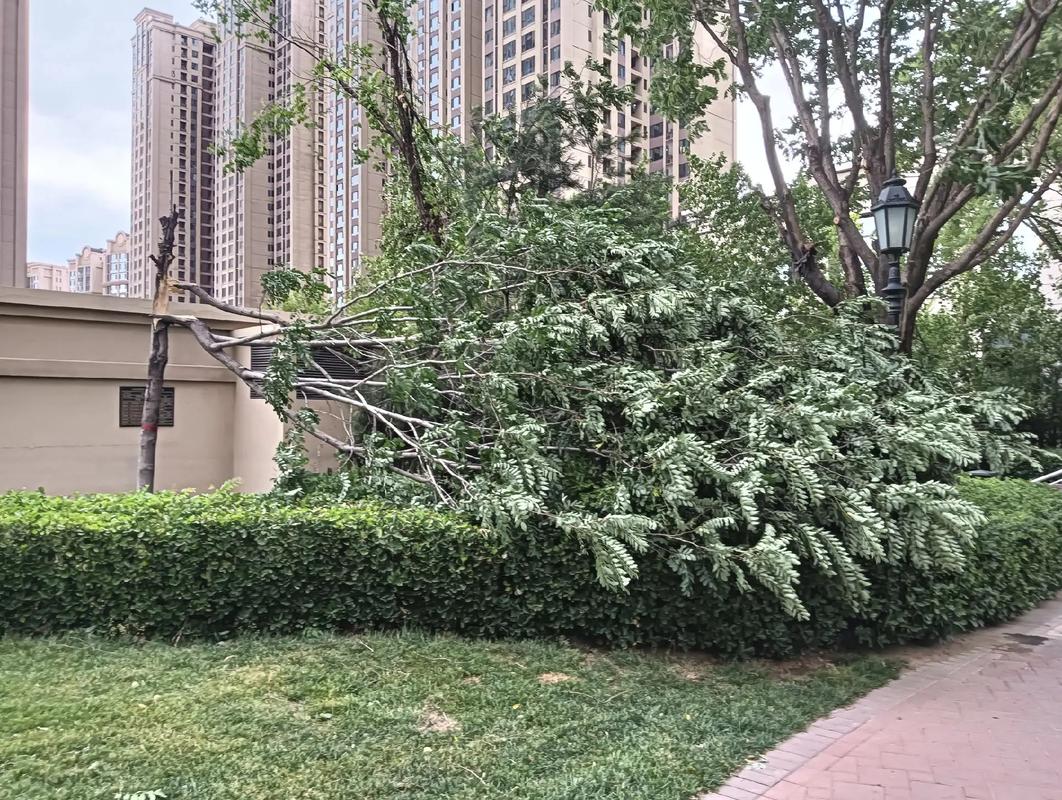 临汾未来一周天气,临汾未来一周天气预报查询?-第4张图片-巾百福 临汾未来一周天气,临汾未来一周天气预报查询?-第4张图片-巾百福