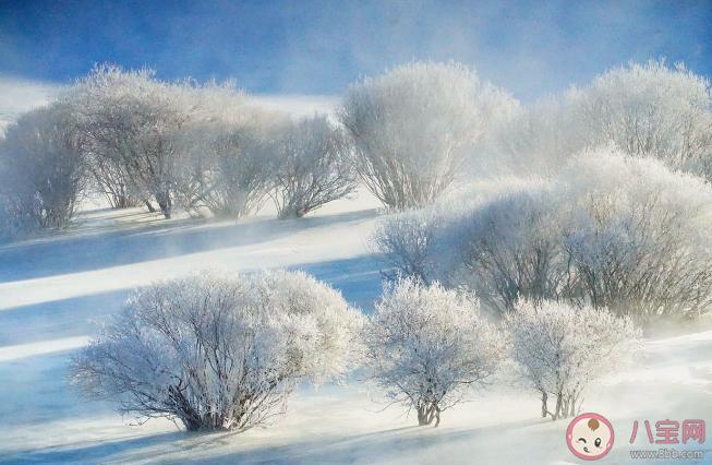 阳春天气预报实时,阳春天气7天天气预报-第4张图片-巾百福 阳春天气预报实时,阳春天气7天天气预报-第4张图片-巾百福