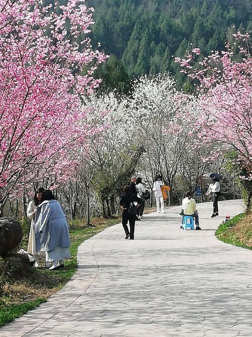德阳什邡天气预报,德阳什邡天气预报15天查询-第5张图片-巾百福 德阳什邡天气预报,德阳什邡天气预报15天查询-第5张图片-巾百福
