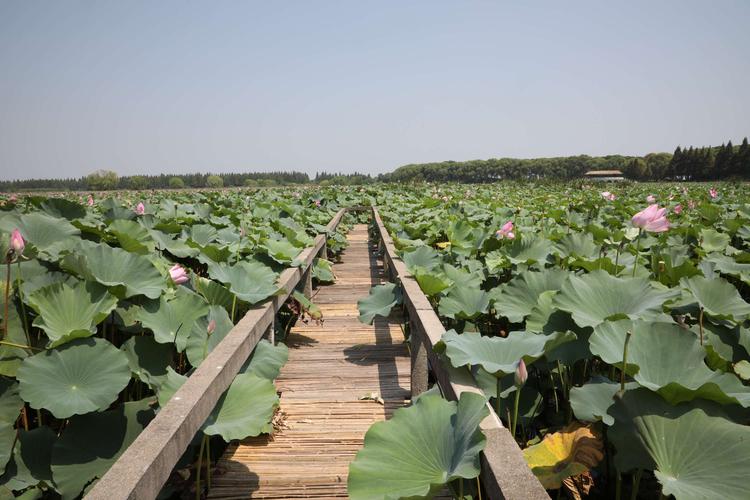 洪湖天气预报40天?洪湖天气预报40天查?-第1张图片-巾百福 洪湖天气预报40天?洪湖天气预报40天查?-第1张图片-巾百福