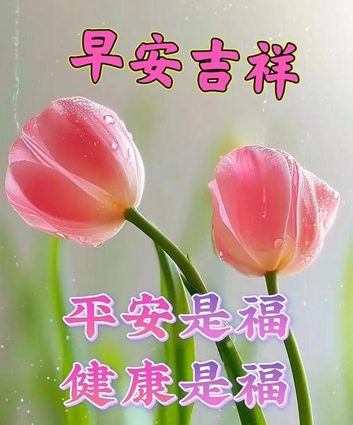 北海十五天天气预报,北海十五天天气预报风向预报-第5张图片-巾百福 北海十五天天气预报,北海十五天天气预报风向预报-第5张图片-巾百福