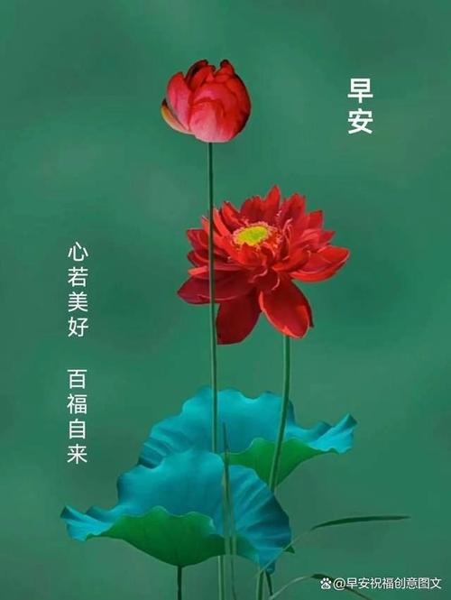 齐齐哈尔天气预报,伊春天气预报-第2张图片-巾百福 齐齐哈尔天气预报,伊春天气预报-第2张图片-巾百福