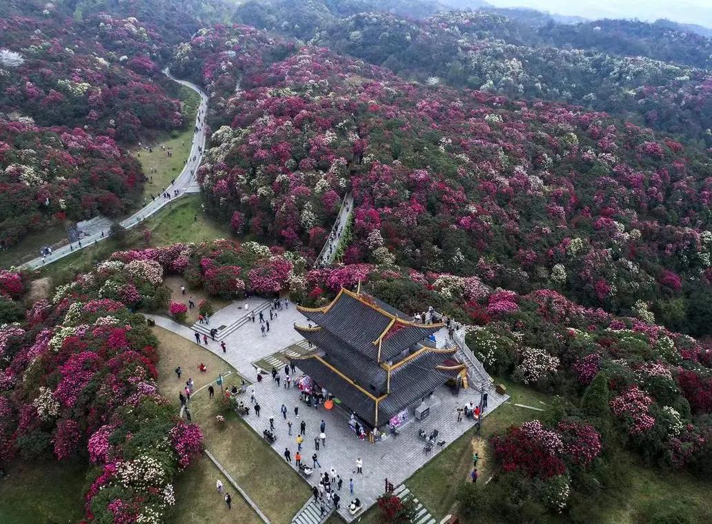 丽江天气预报十五天?丽江天气预报15天气预报一周?-第4张图片-巾百福 丽江天气预报十五天?丽江天气预报15天气预报一周?-第4张图片-巾百福