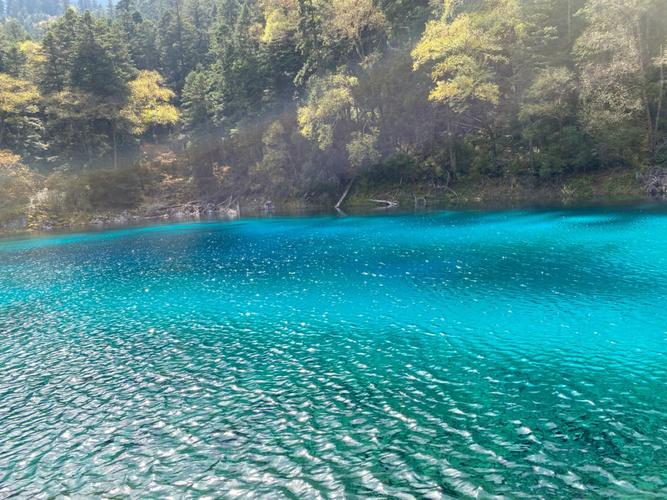 黄龙15天天气预报?黄龙15天天气预报实况?-第1张图片-巾百福 黄龙15天天气预报?黄龙15天天气预报实况?-第1张图片-巾百福