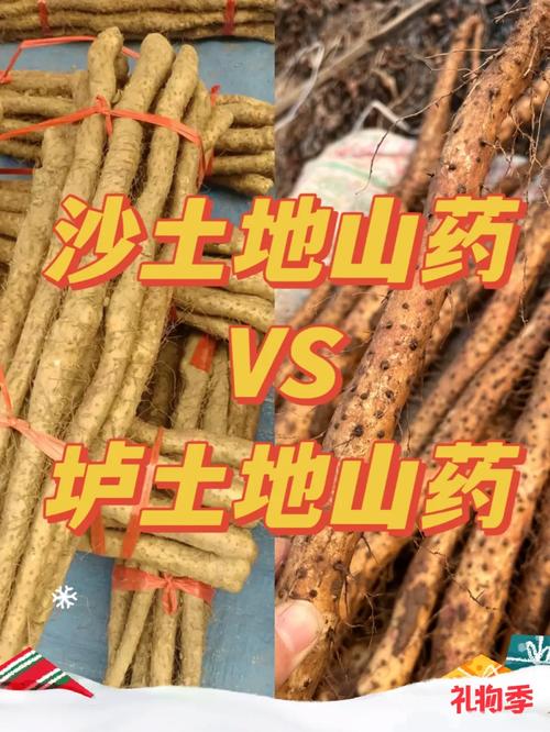 商丘市虞城县天气?商丘市虞城县天气予报?-第1张图片-巾百福 商丘市虞城县天气?商丘市虞城县天气予报?-第1张图片-巾百福