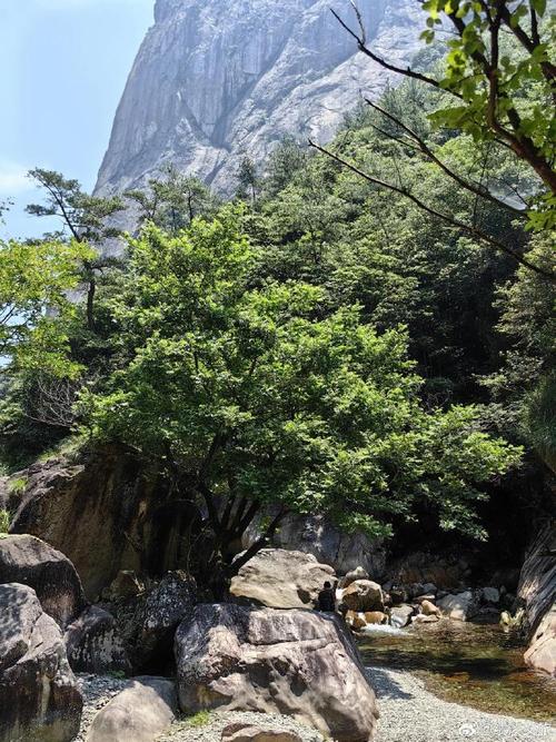 绩溪龙川天气预报?安微绩溪龙川天气?-第6张图片-巾百福 绩溪龙川天气预报?安微绩溪龙川天气?-第6张图片-巾百福